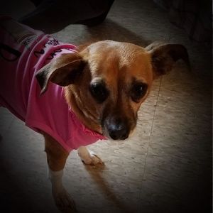 Meet your Posher, Sherry